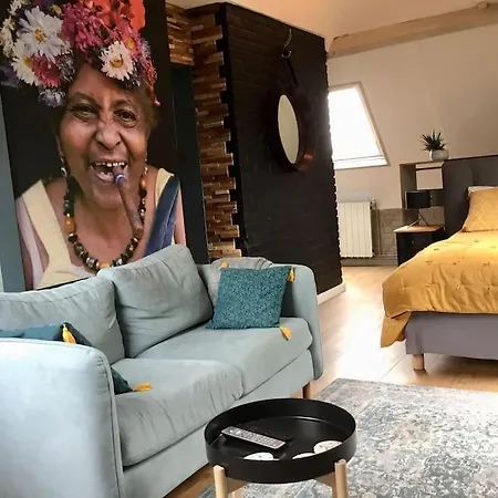 Atypique Style Loft Apartamento Phalempin