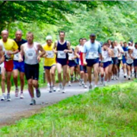 Atypique Style Loft Phalempin